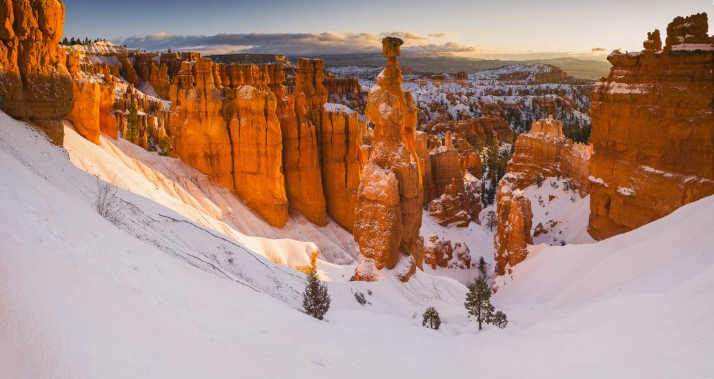 Photo - USA - Bryce Canyon #22